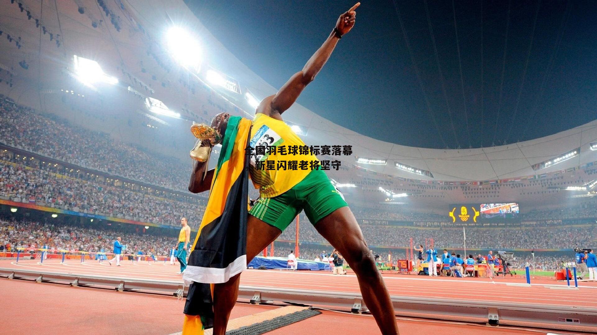 全国羽毛球锦标赛落幕,新星闪耀老将坚守