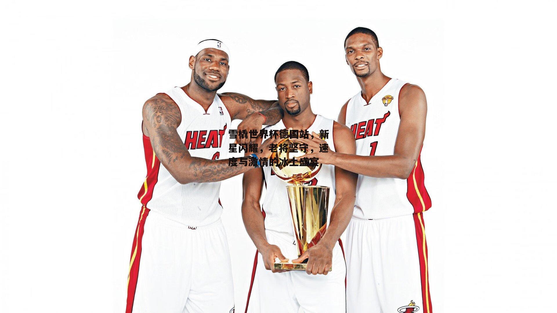 雪橇世界杯德国站,新星闪耀,老将坚守,速度与激情的冰上盛宴