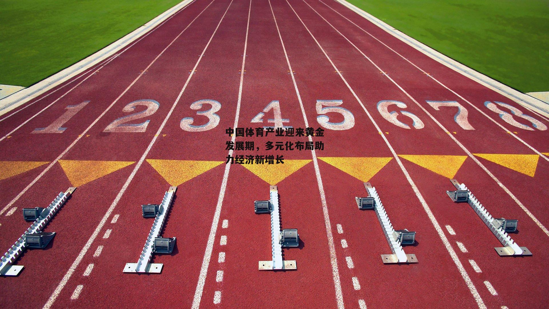 中国体育产业迎来黄金发展期,多元化布局助力经济新增长