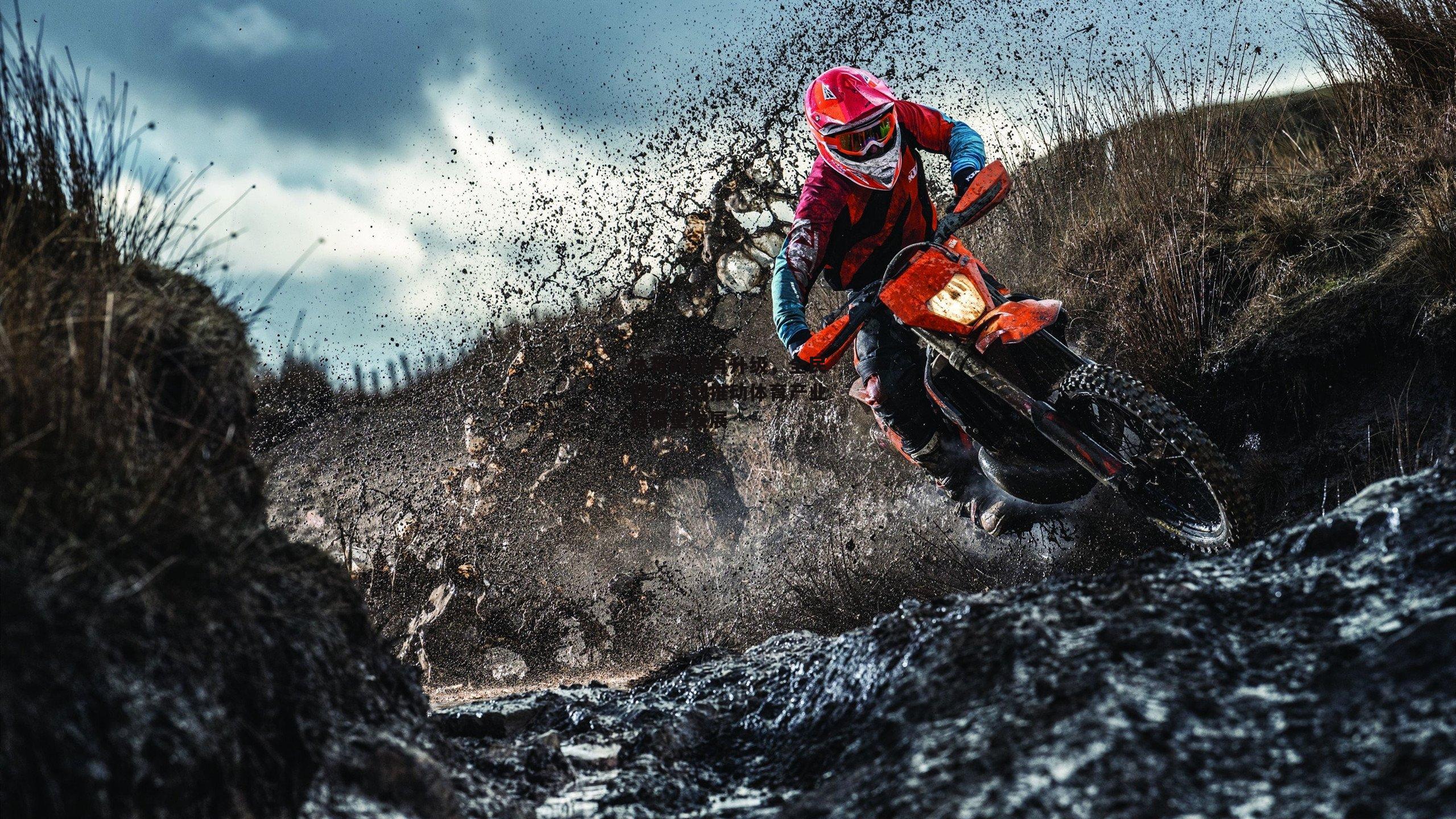 体育政策再升级，全民健身计划推动体育产业高质量发展