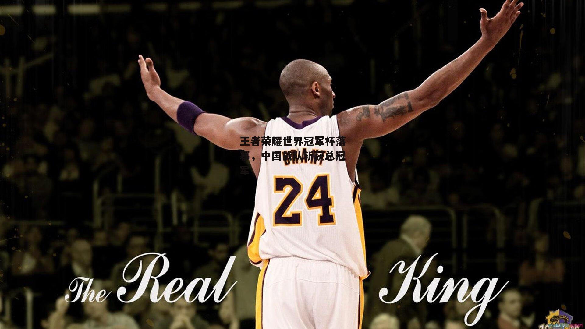 王者荣耀世界冠军杯落幕，中国战队斩获总冠军