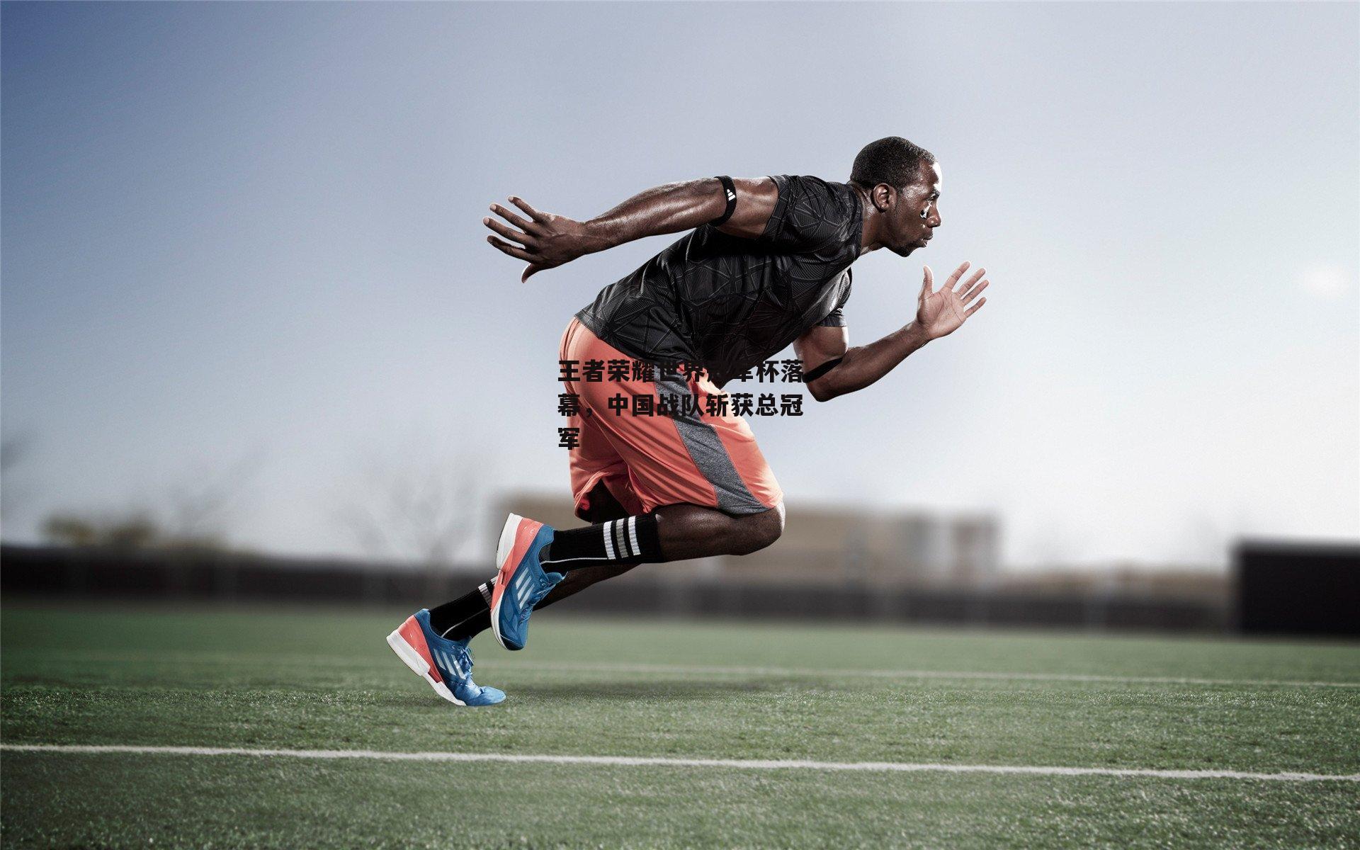 王者荣耀世界冠军杯落幕，中国战队斩获总冠军