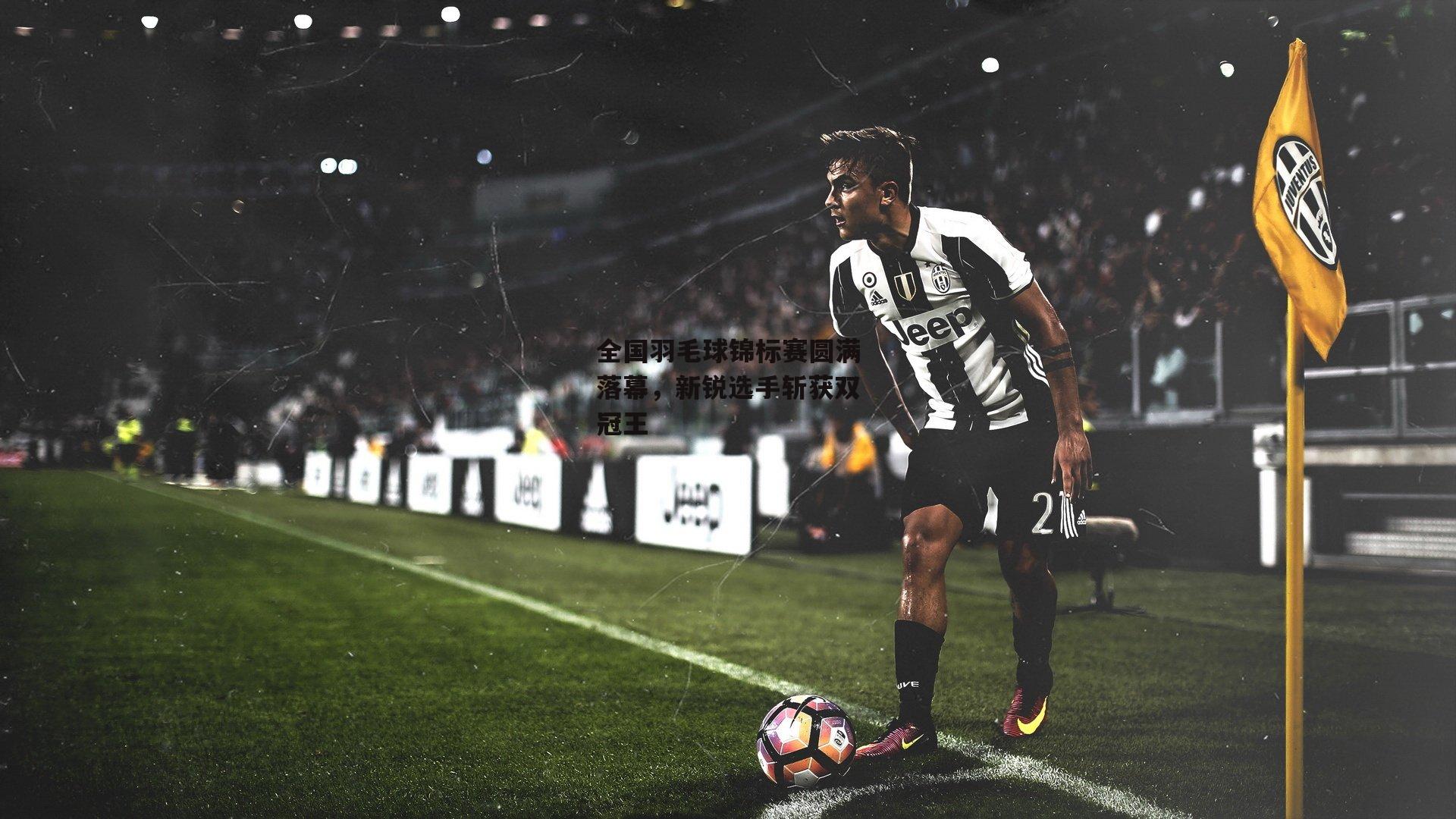 全国羽毛球锦标赛圆满落幕,新锐选手斩获双冠王